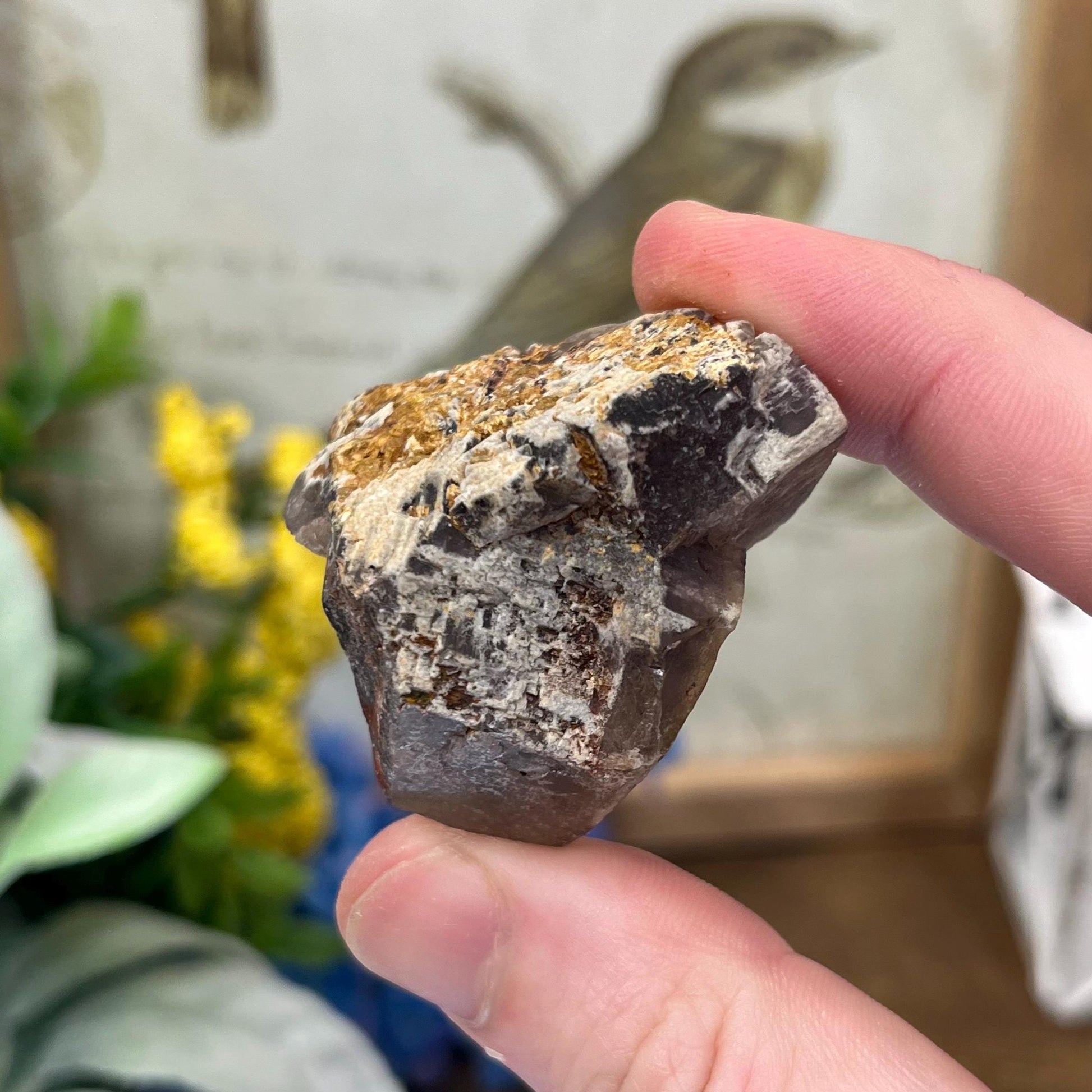 Moroccan Fluorite Specimen | Multicolored Fluorite