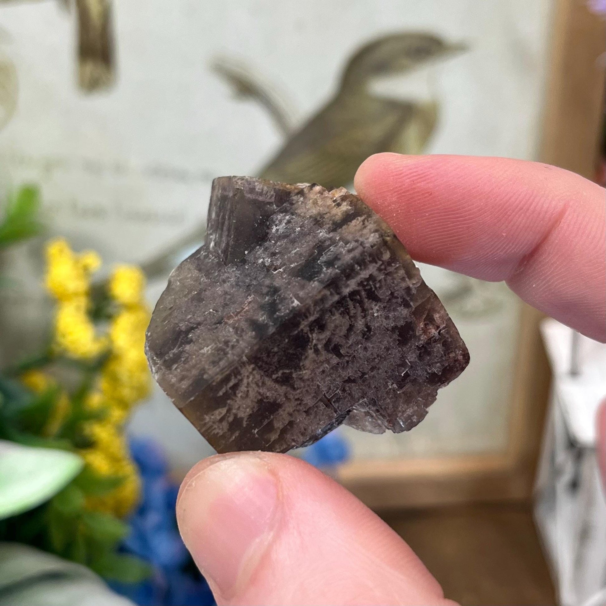 Moroccan Fluorite Specimen | Multicolored Fluorite