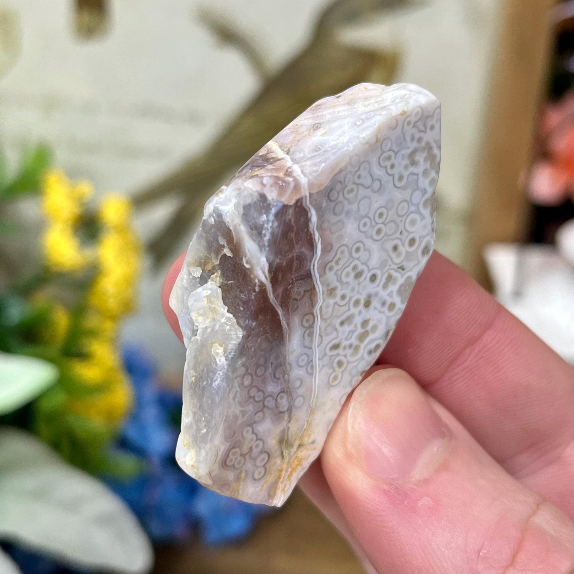 Veinless Ocean Jasper Chunk | Ocean Jasper Tumble | Orbicular Ocean Jasper