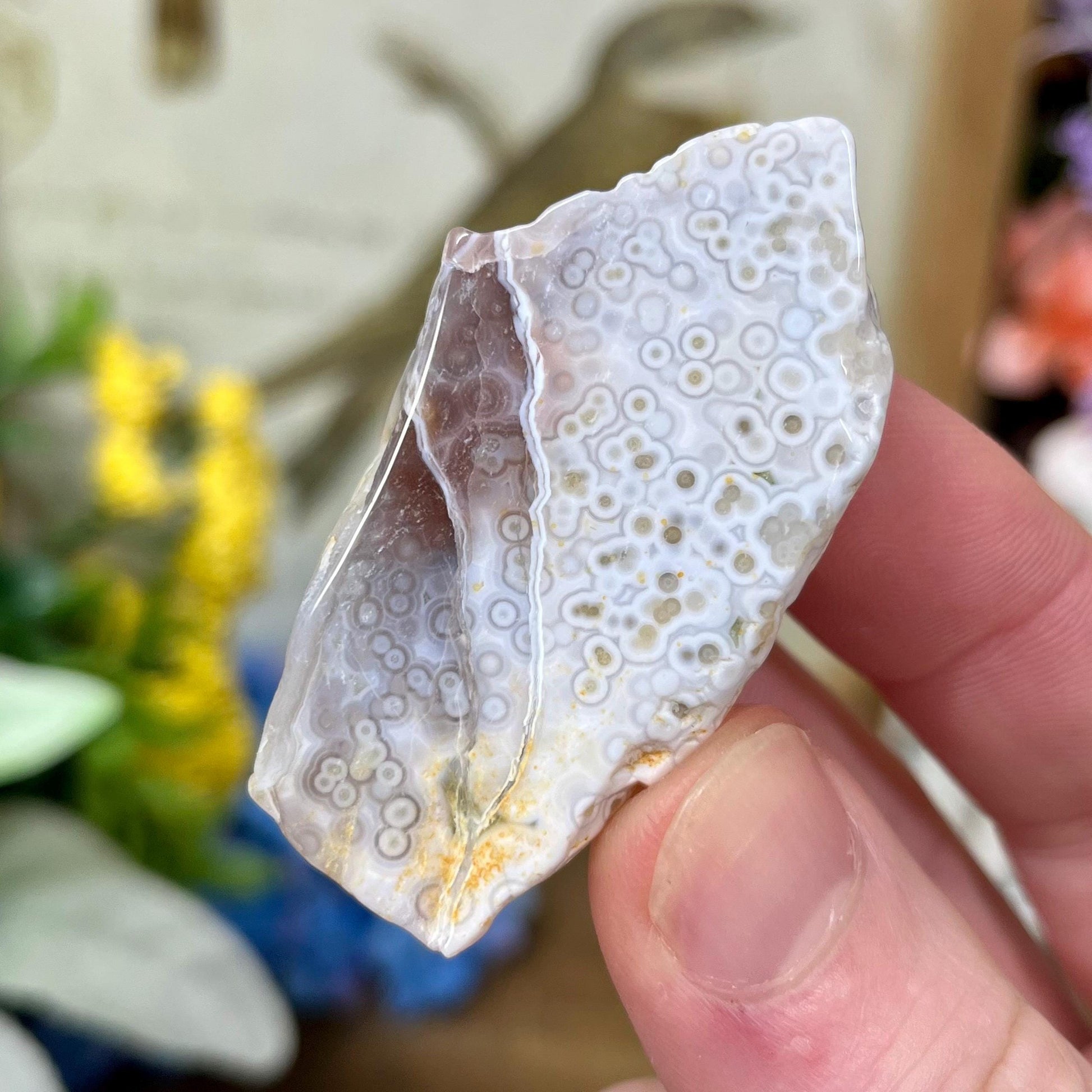 Veinless Ocean Jasper Chunk | Ocean Jasper Tumble | Orbicular Ocean Jasper