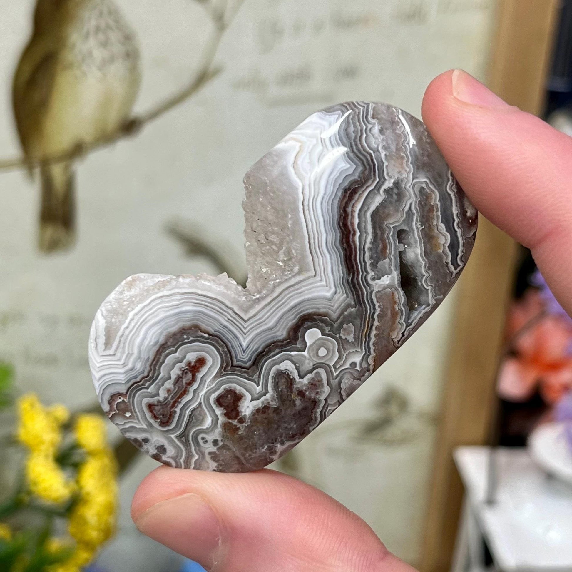 Druzy Mexican Lace Agate Palm | Banded Agate | Crazy Lace Agate