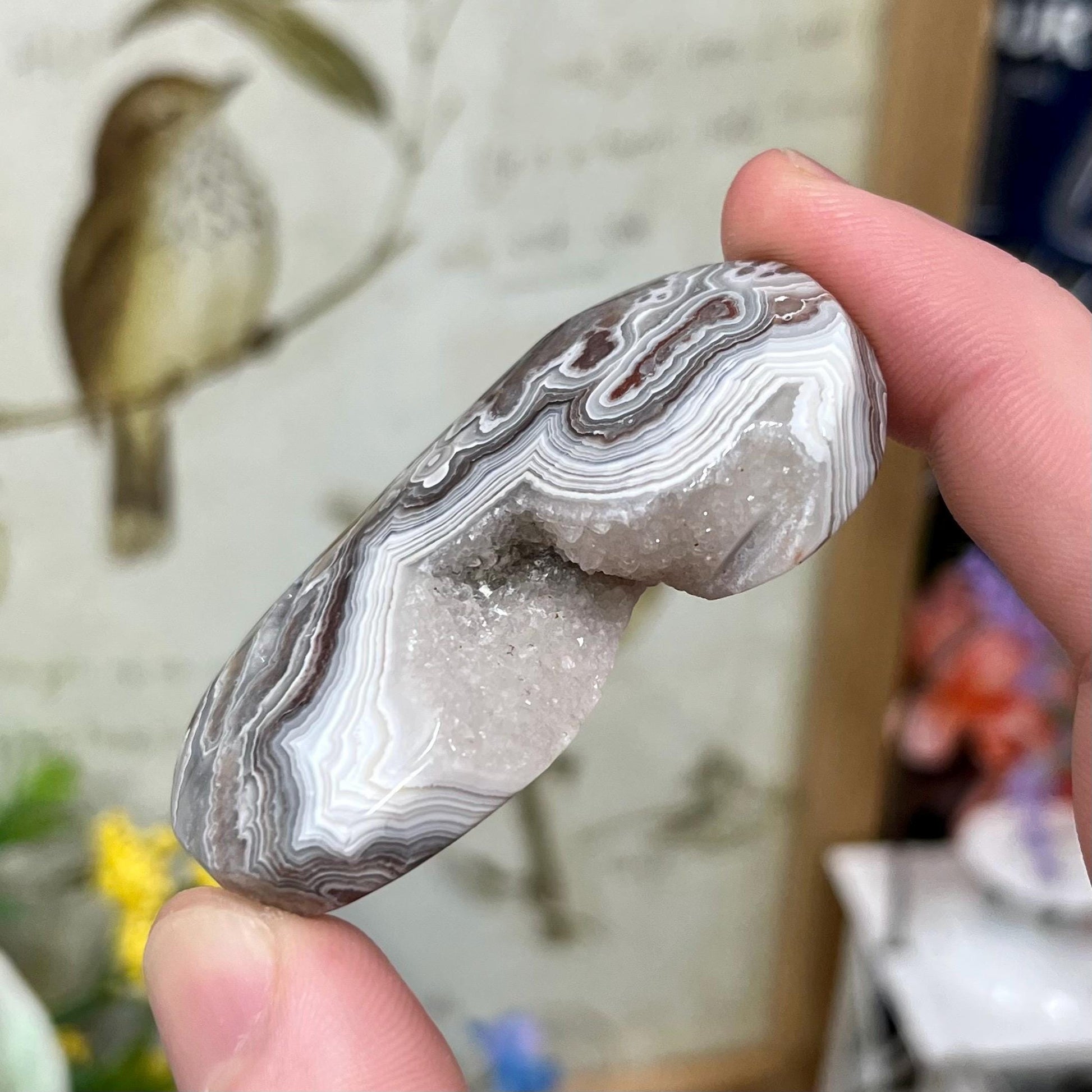 Druzy Mexican Lace Agate Palm | Banded Agate | Crazy Lace Agate