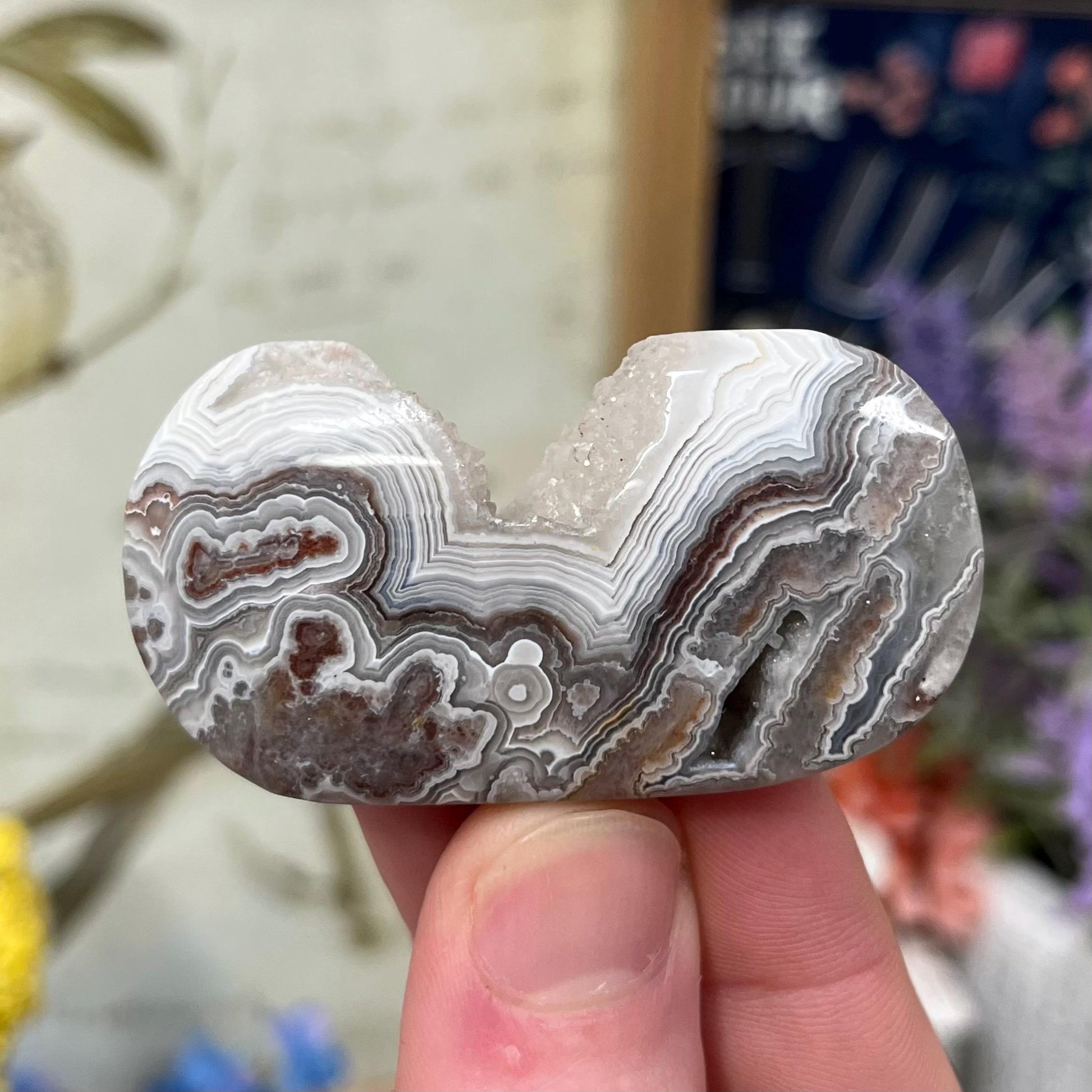 Druzy Mexican Lace Agate Palm | Banded Agate | Crazy Lace Agate