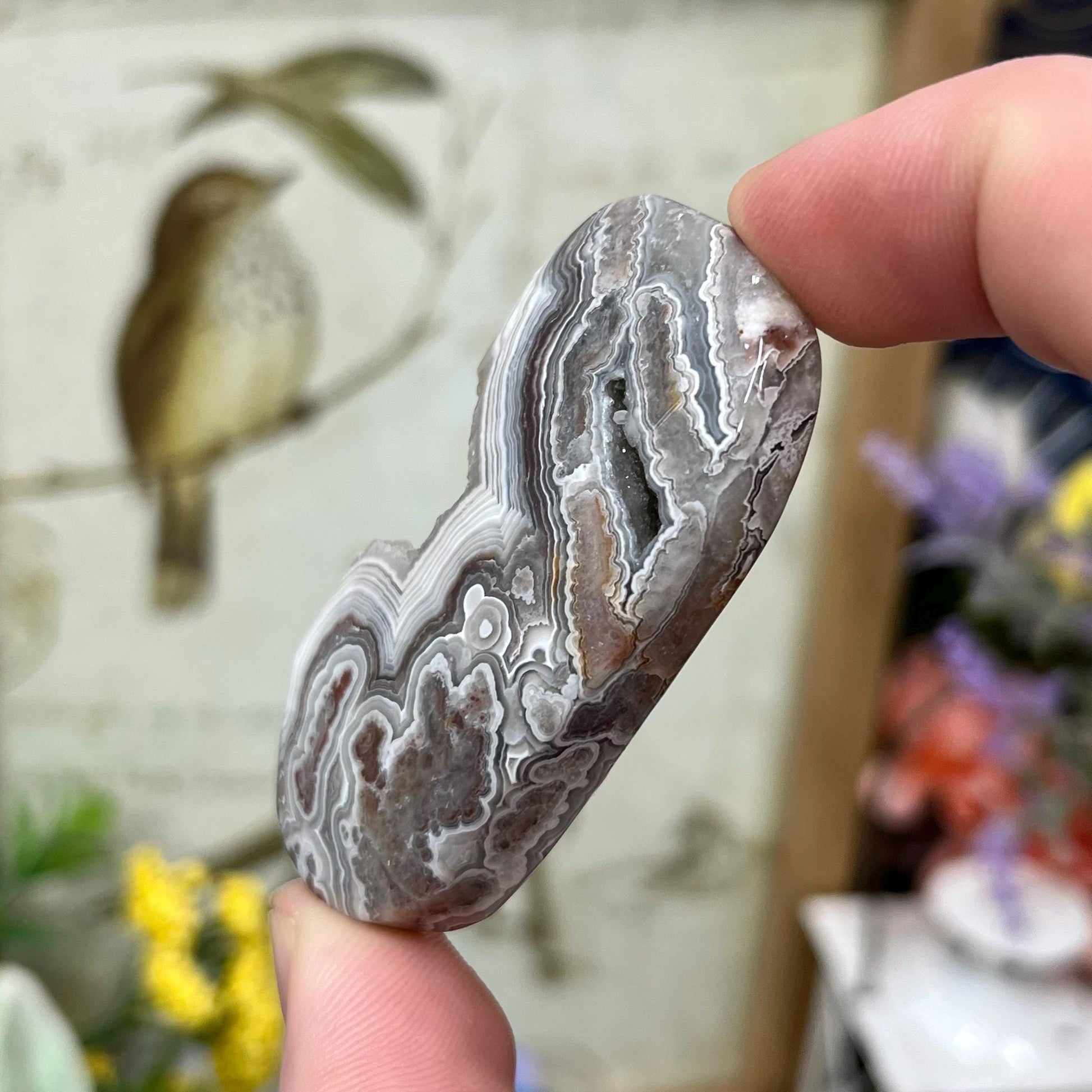 Druzy Mexican Lace Agate Palm | Banded Agate | Crazy Lace Agate