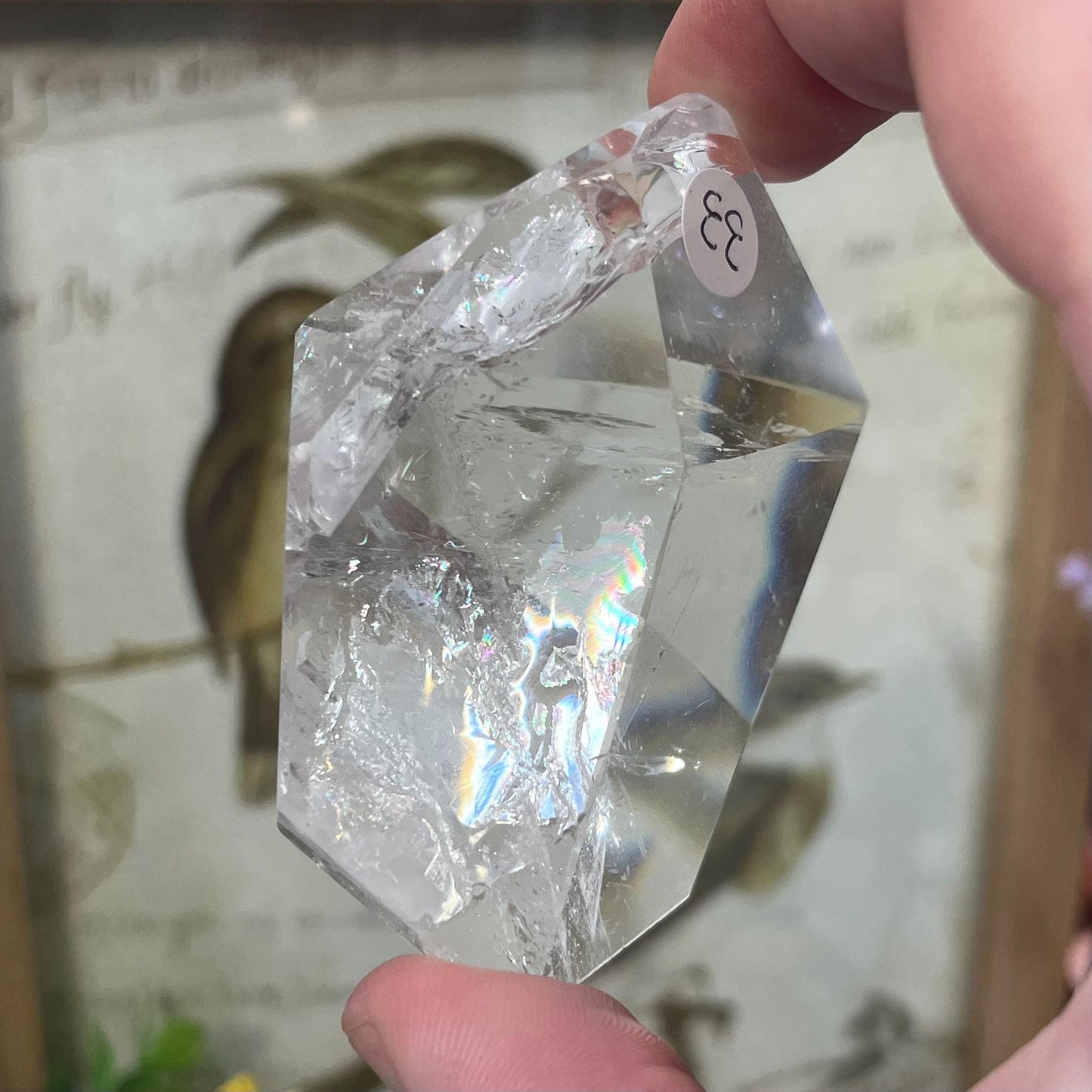High Quality Clear Quartz Freeform with Rainbows | Rainbow Quartz