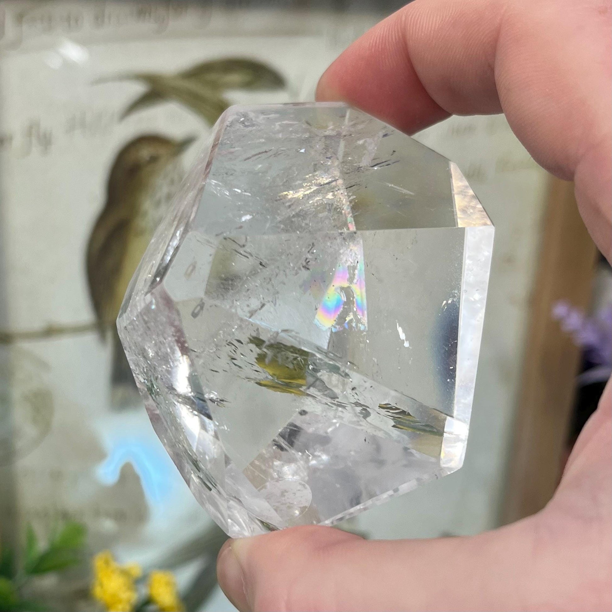 High Quality Clear Quartz Freeform with Rainbows | Rainbow Quartz