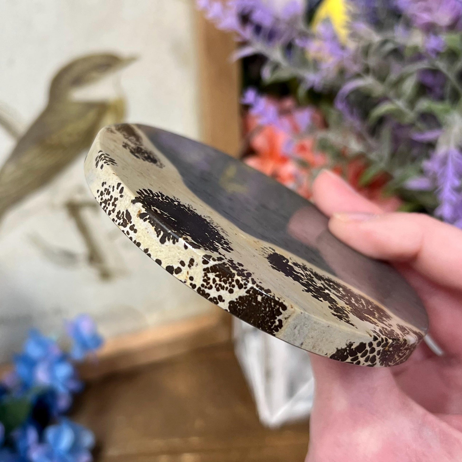 Picture Jasper Slab | Dendritic Jasper