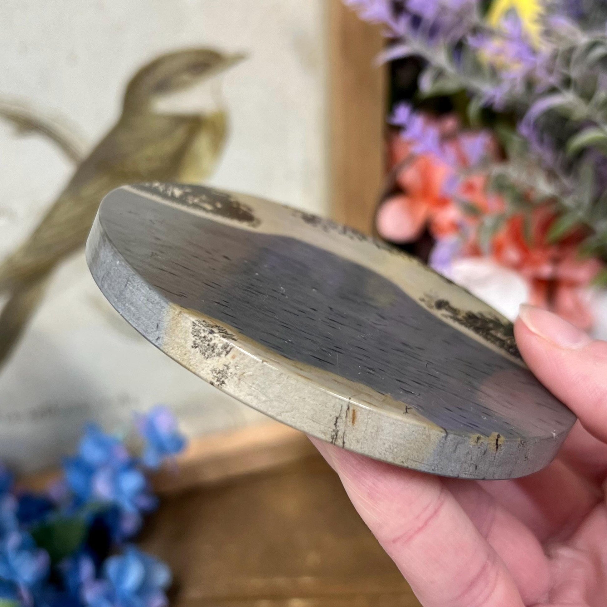 Picture Jasper Slab | Dendritic Jasper