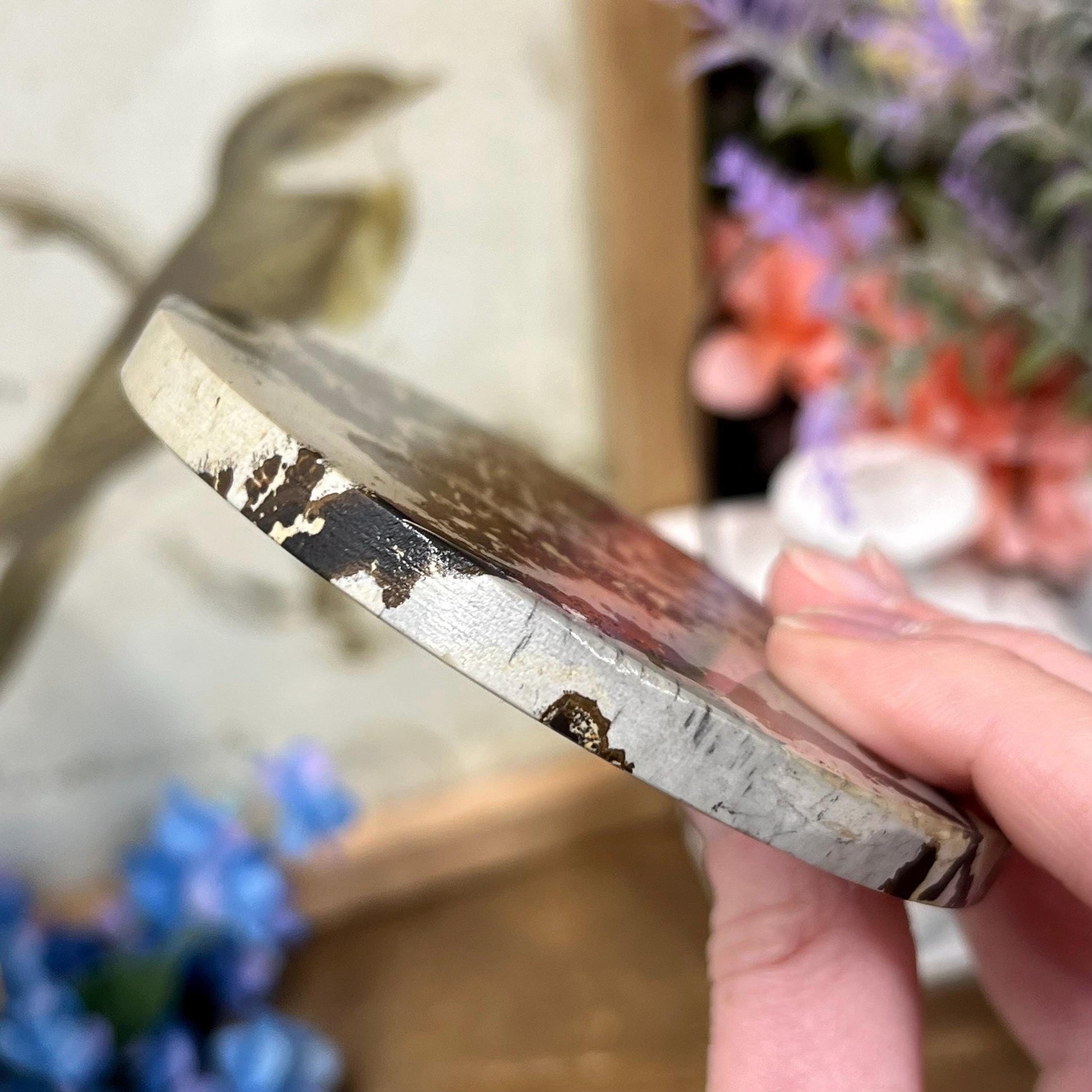 Picture Jasper Slab | Dendritic Jasper