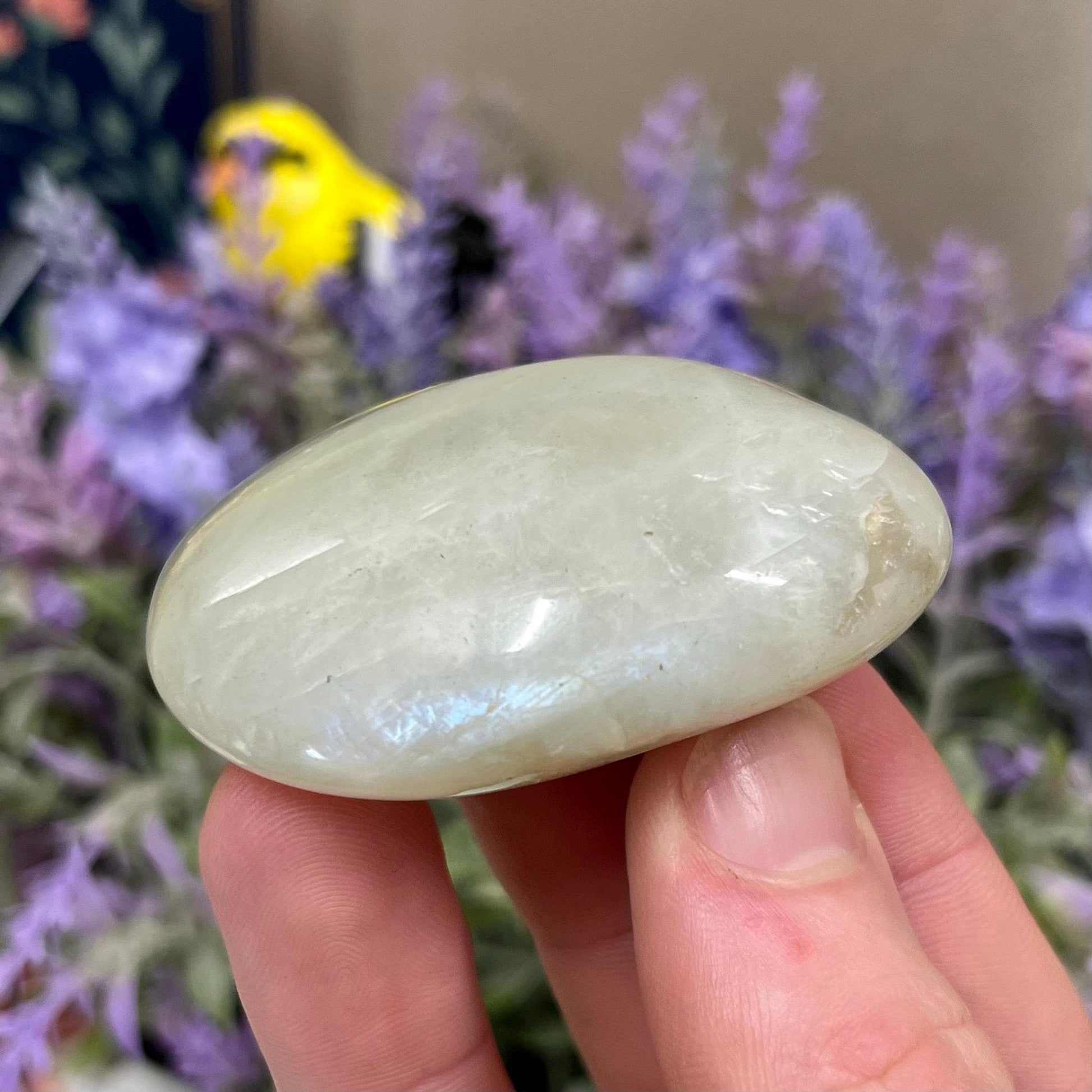 Green Moonstone Palm Stone with Blue Flash | Garnierite Palm