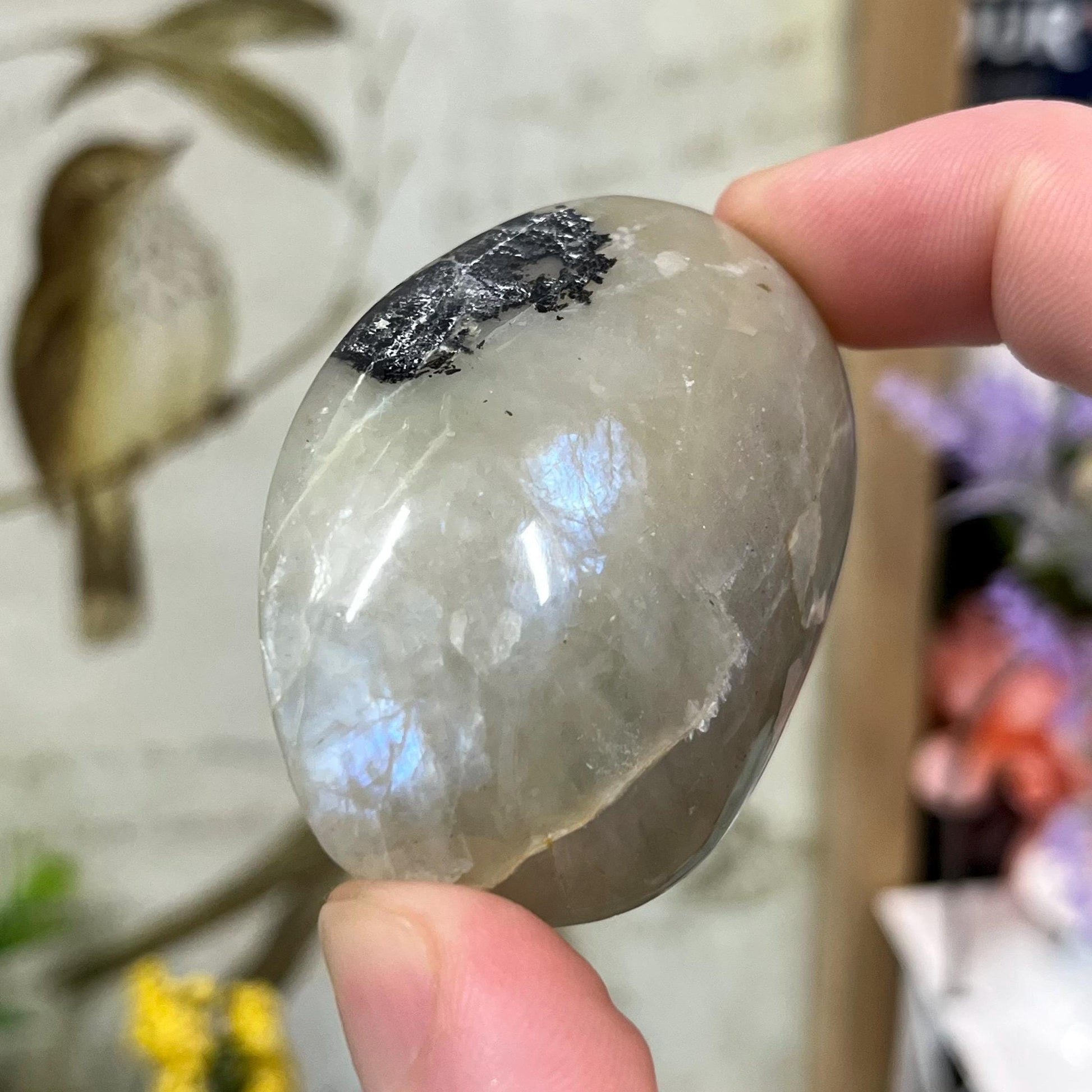 Flashy Green Moonstone Palm Stone with Blue Flash | Garnierite Palm