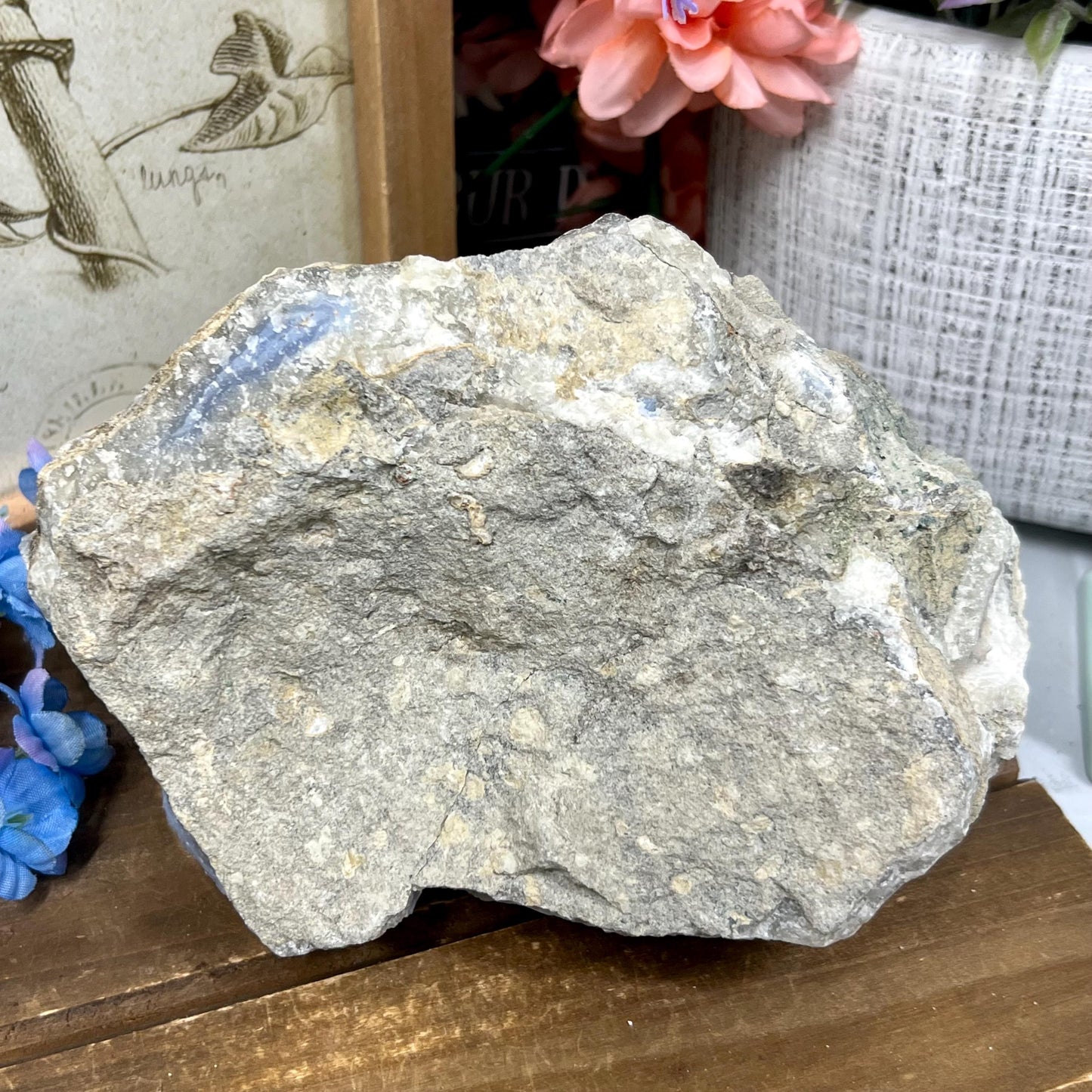 XXL High Quality Raw Blue Lace Agate Geode | Druzy Blue Lace Agate