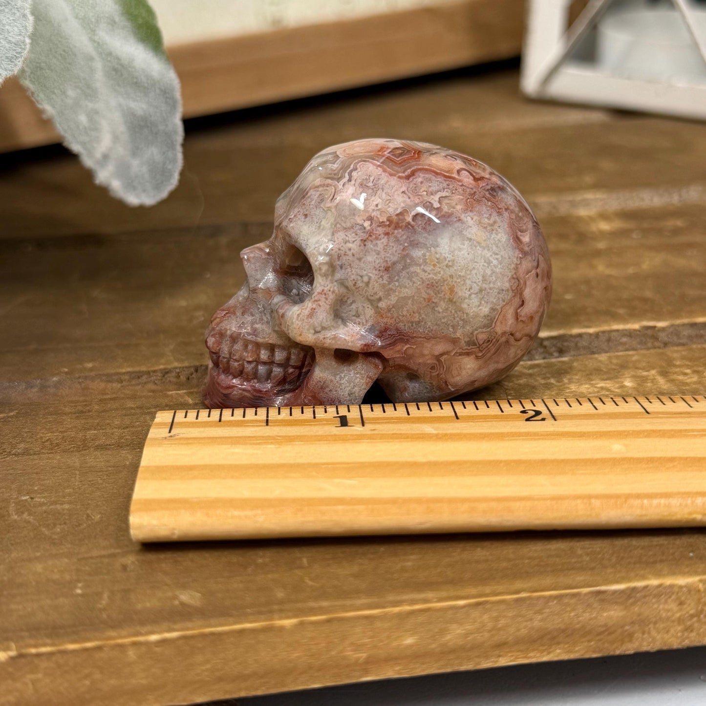 Small Mexican Lace Agate Skull | Crystal Skull | Banded Agate