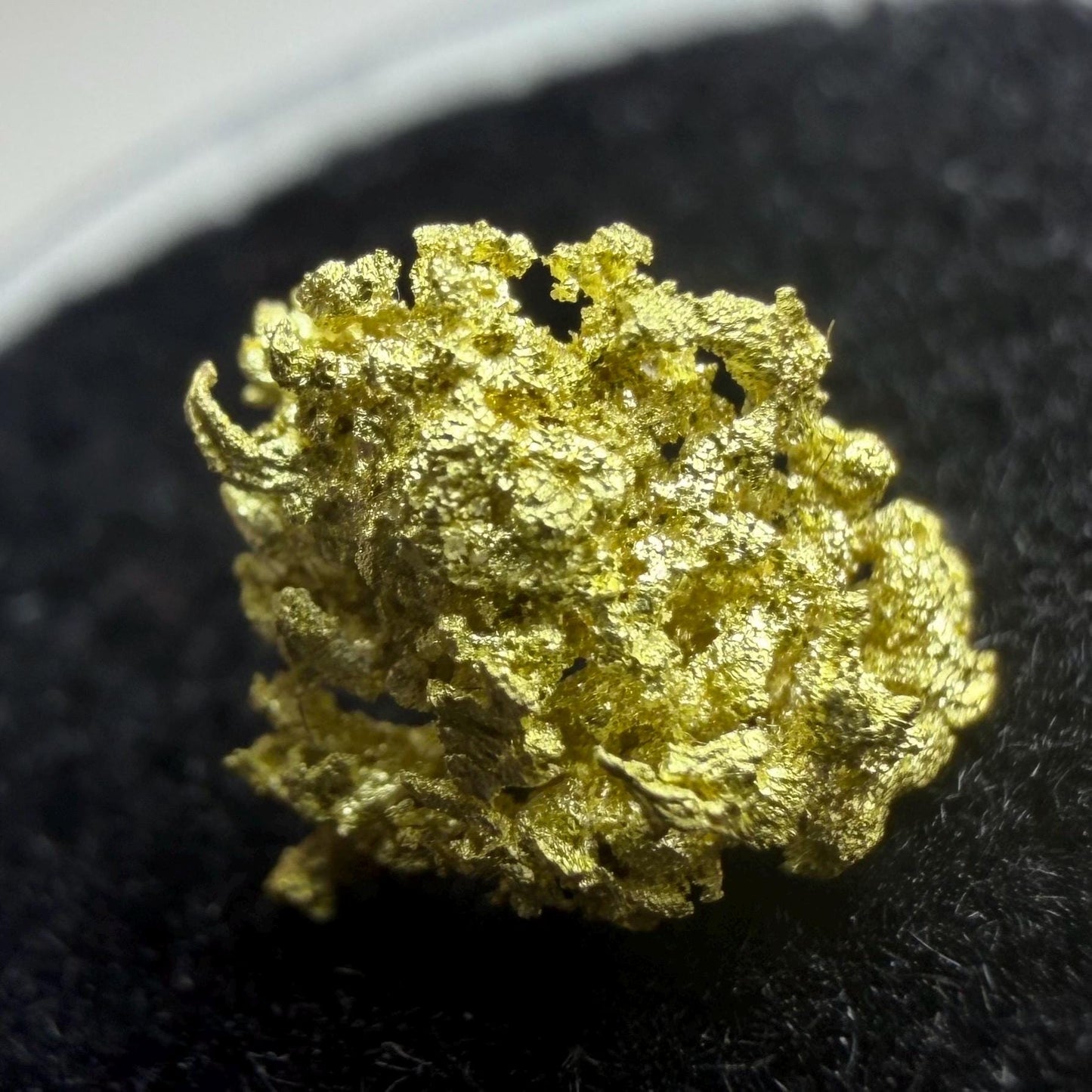 Crystallized Gold Nugget | Belshazzar Mine, Idaho | Natural Leaf & Dendritic Gold | 0.44g Collector Specimen