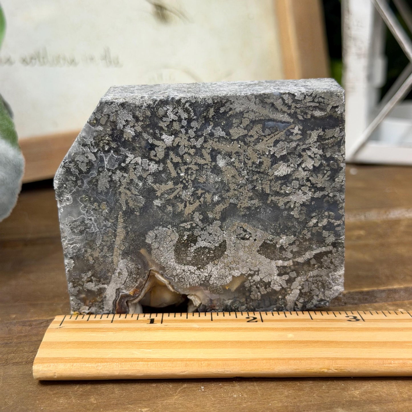 Marcasite in Agate Slab | Nipomo Agate