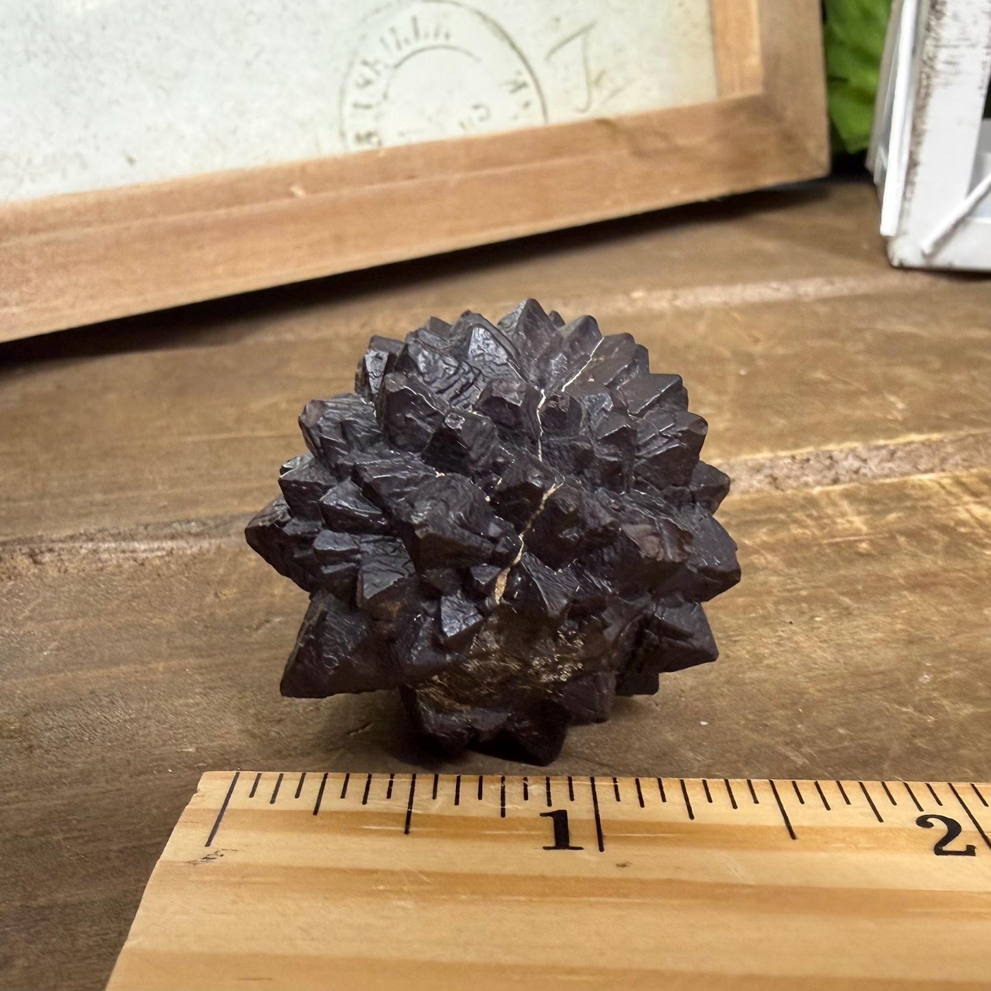 Unique Large Prophecy Stone | Displays Visible Growth Core