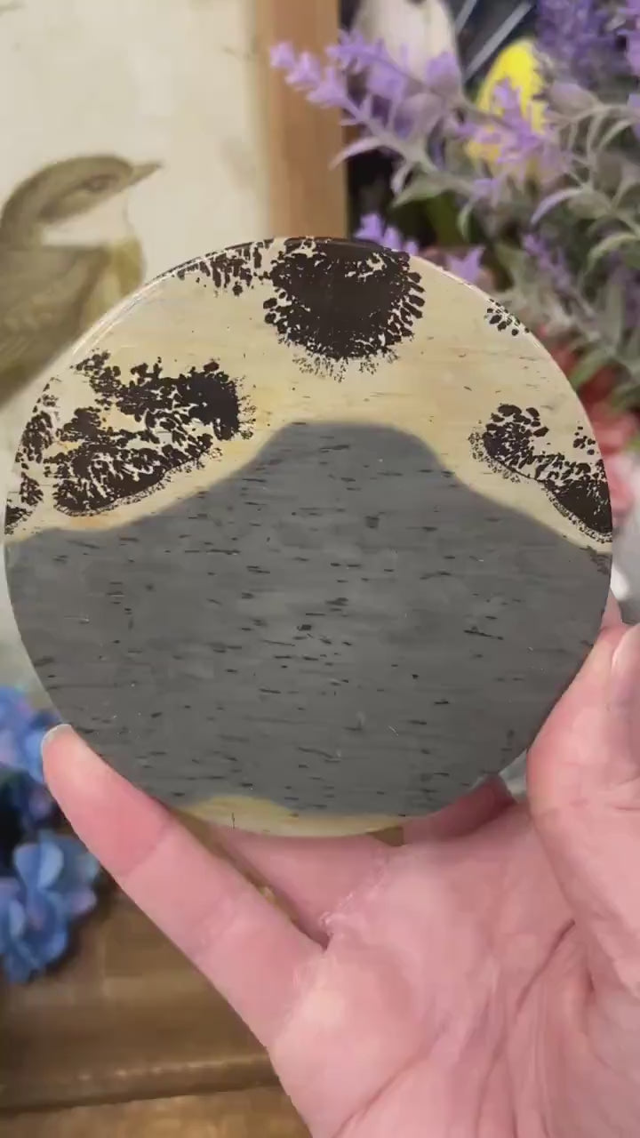 Picture Jasper Slab | Dendritic Jasper