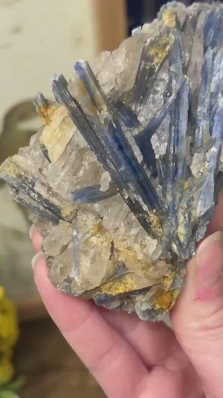 Amazing Blue Kyanite in Quartz Specimen | Raw Blue Kyanite Blades | Kyanite Cluster