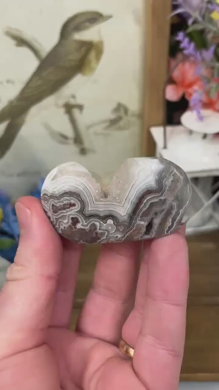 Druzy Mexican Lace Agate Palm | Banded Agate | Crazy Lace Agate