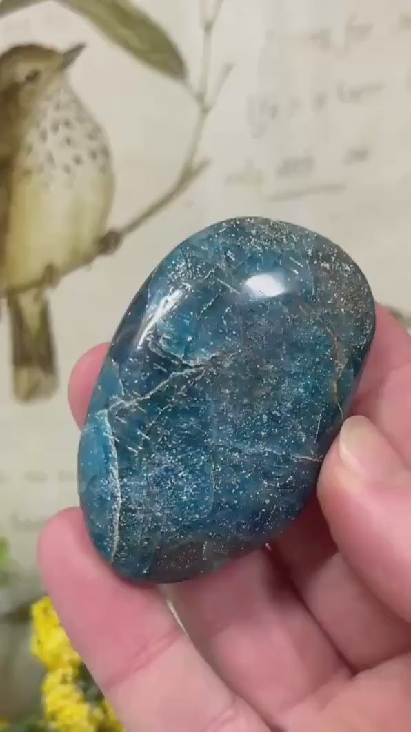 Blue Apatite Palm Stone | Flashy Blue Apatite