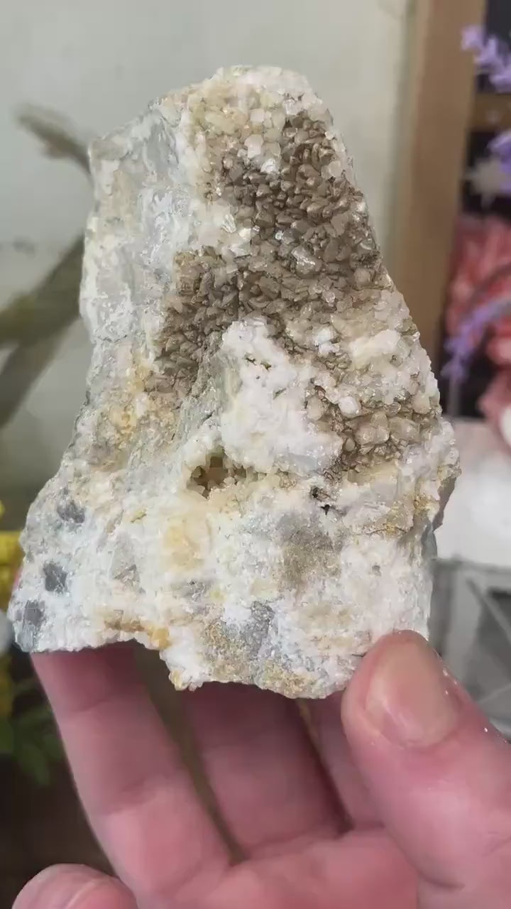 Calcite Crystals on Breccia from Utah | Calcite Clusters and Druzy | Unique Mineral Specimen | Dogtooth Calcite