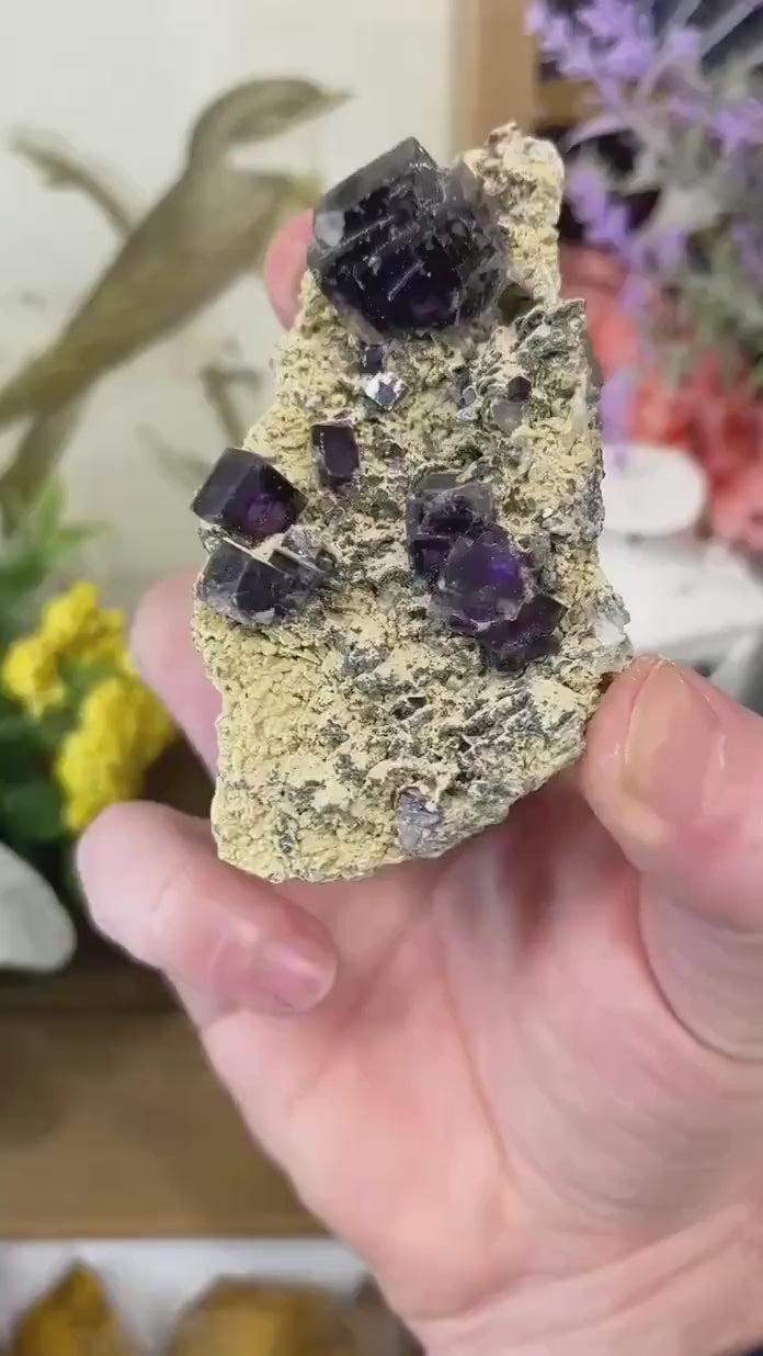 Cubic Fluorite Specimen on Matrix | Dark Purple Fluorite