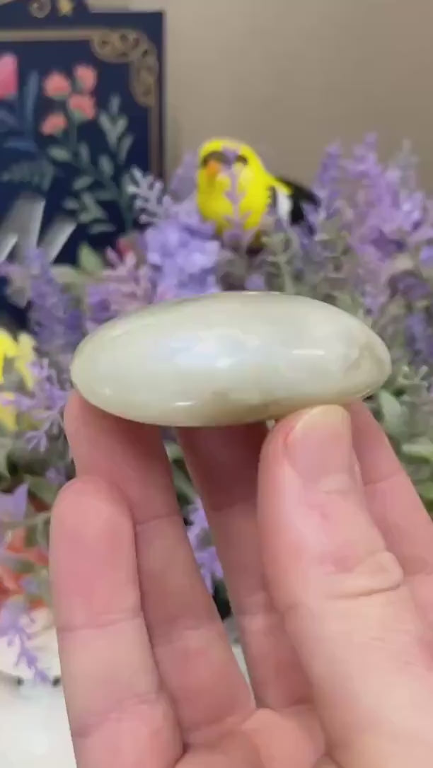 Green Moonstone Palm Stone with Blue Flash | Garnierite Palm