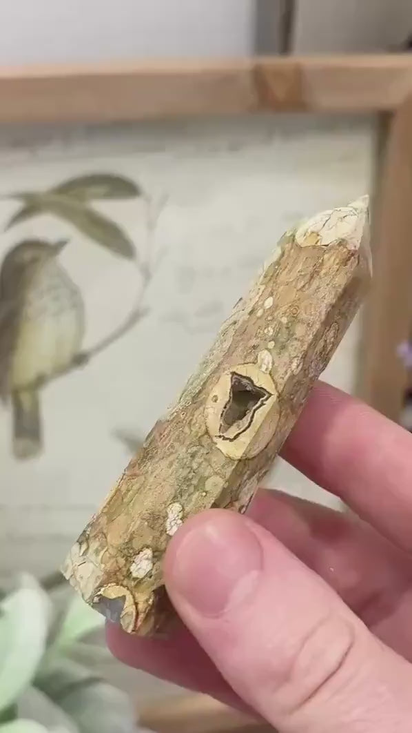 Rainforest Rhyolite Tower | Rainforest Jasper