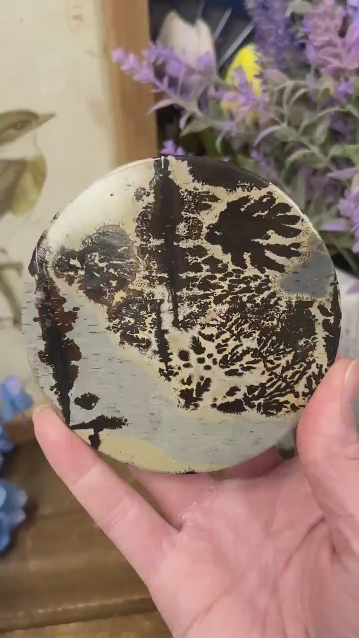 Picture Jasper Slab | Dendritic Jasper