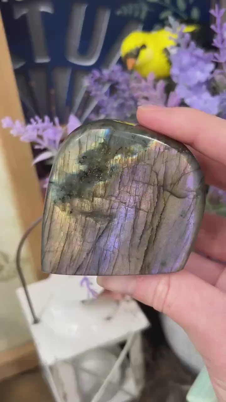 Small Rainbow Labradorite Freeform | Purple Lab Freeform | Pink Labradorite