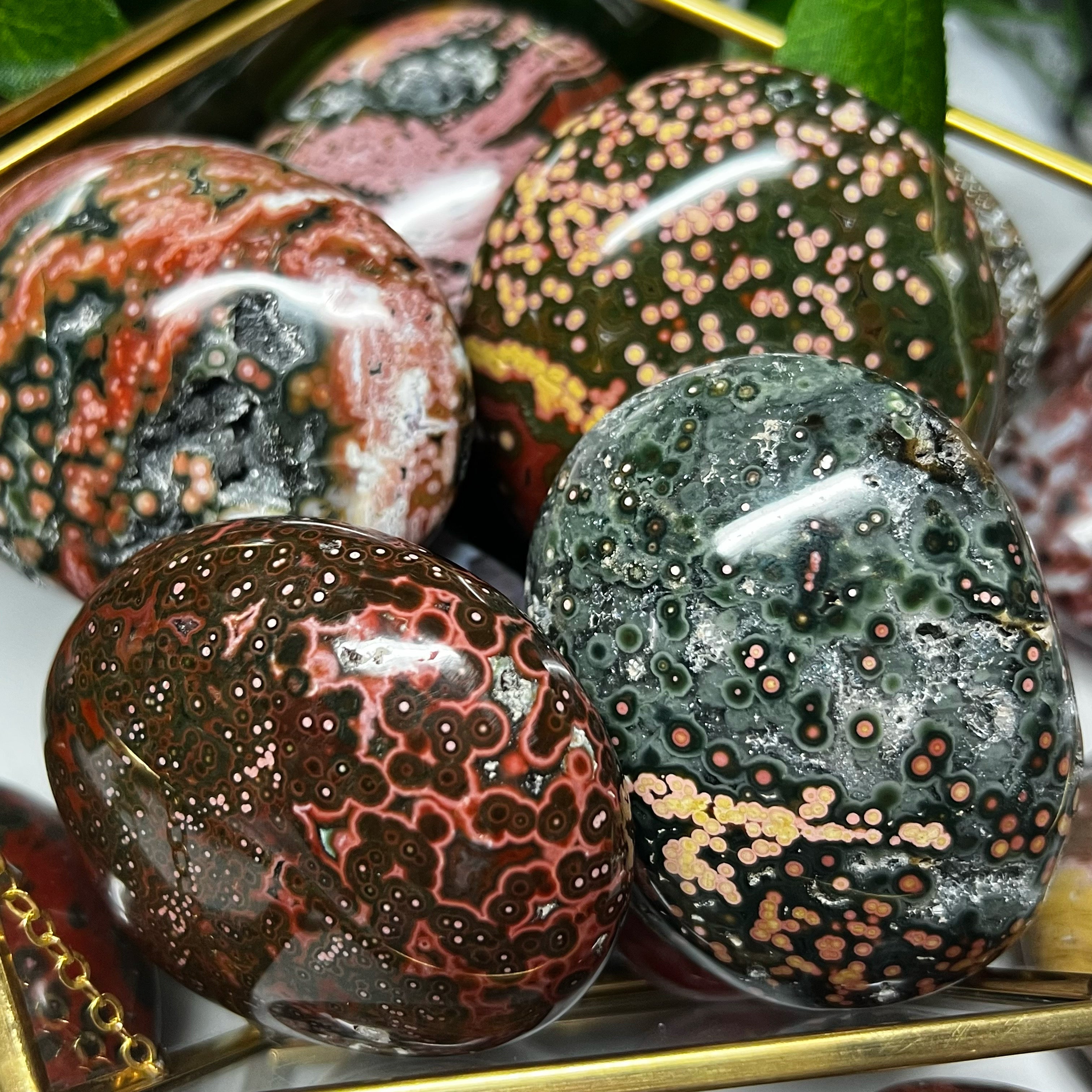 【希少本】Dots, Fungus, Crystals & Moonlight 希少本】Dots, Fungus, Crystals & Moonlight