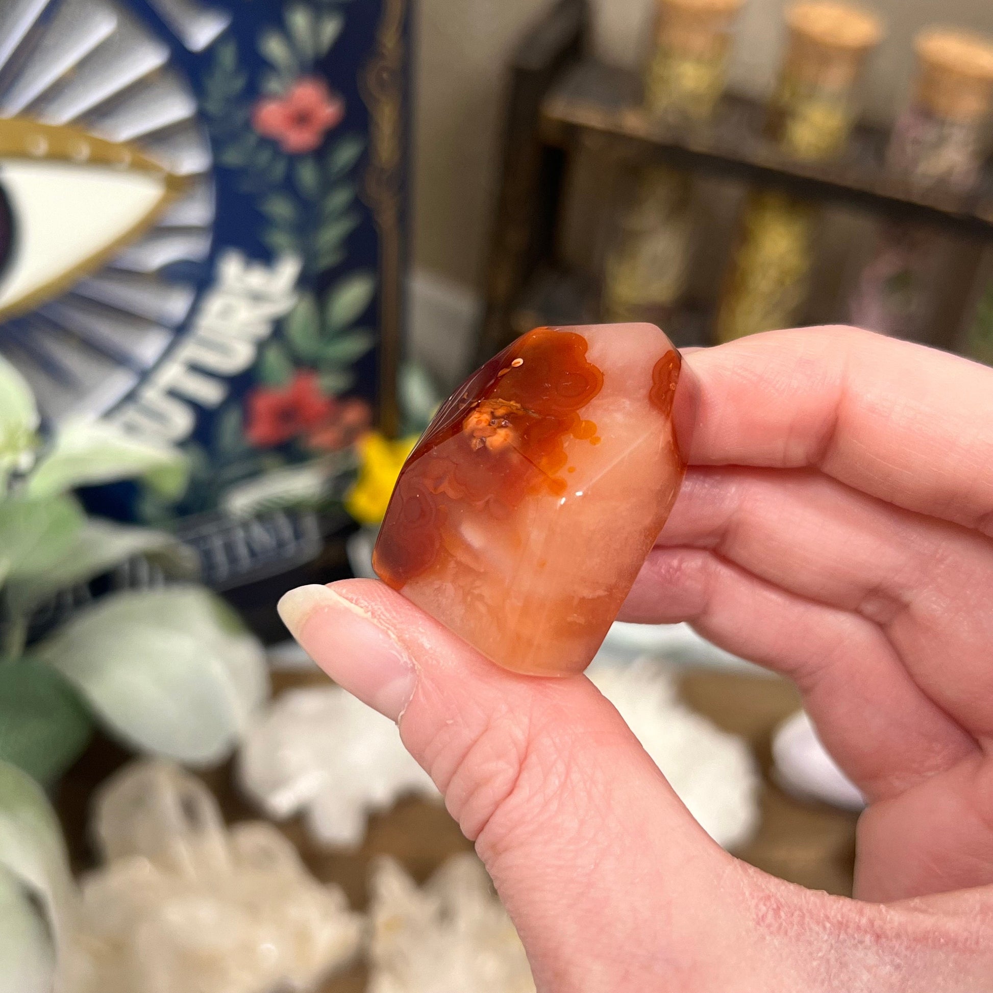 Small Carnelian Freeform | Red Agate
