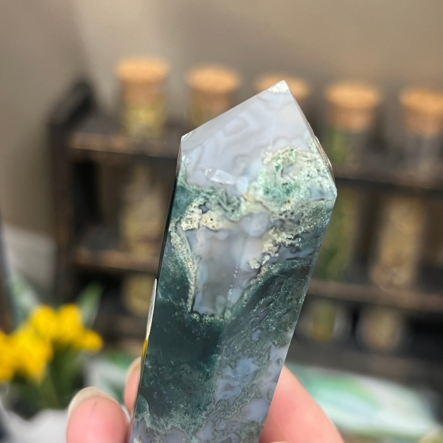 Moss Agate DT | Double Terminated Crystal