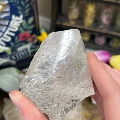 Himalayan Quartz Point with Anatase and Record Keepers