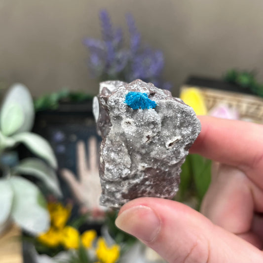 Cavansite on Stilbite | Raw Stilbite | Cavansite Specimen