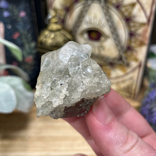 Himalayan Quartz Cluster with Rutile and Green Chlorite