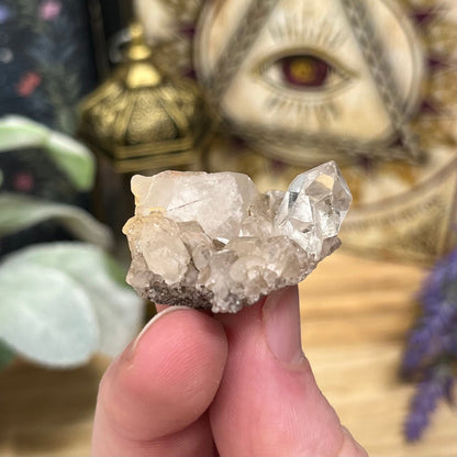 Himalayan Quartz Cluster