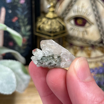 Small Himalayan Quartz Cluster