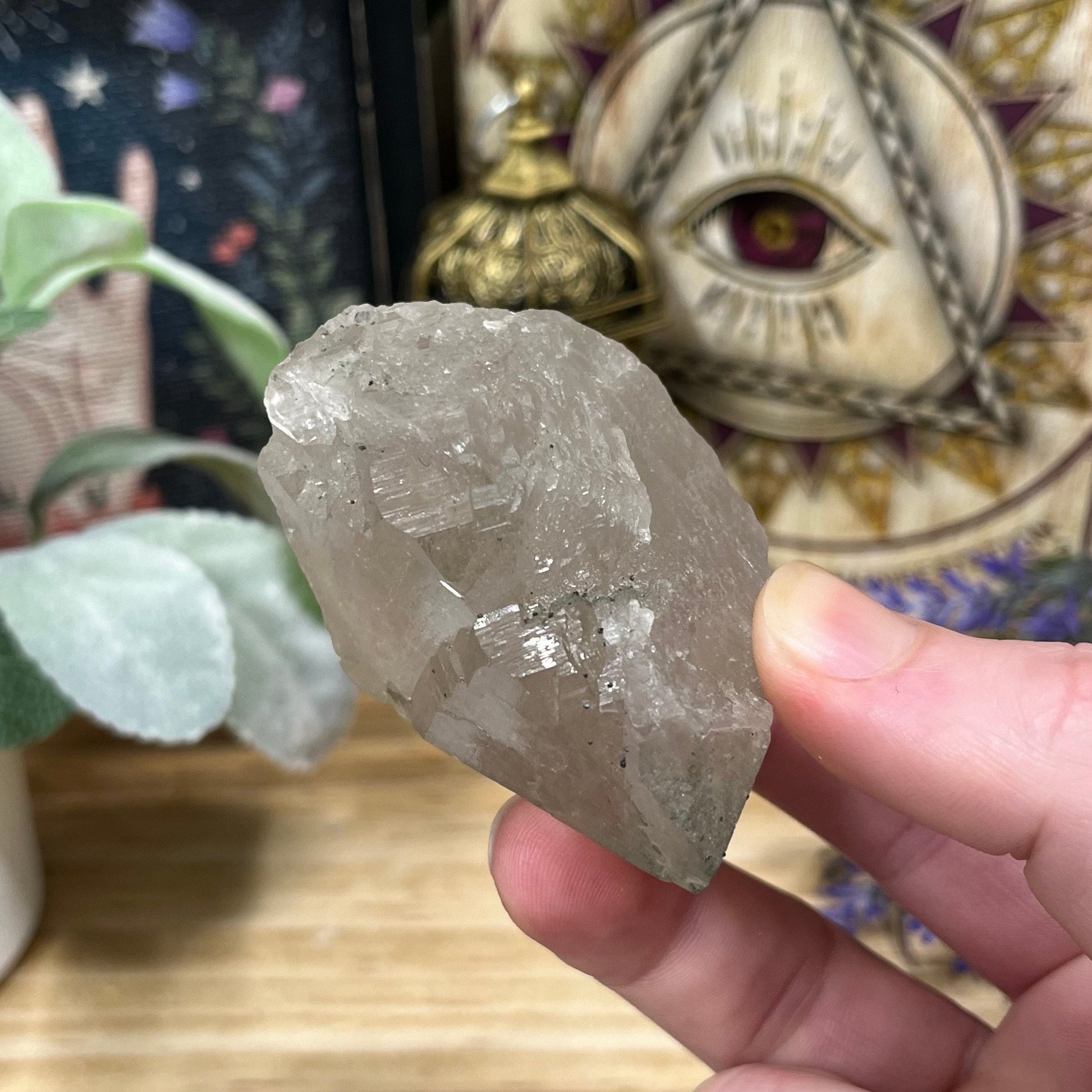 Himalayan Quartz with Chunky Point and Green Chlorite