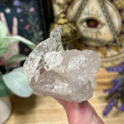 Himalayan Quartz Cluster with Water Clear Formations and Green Chlorite