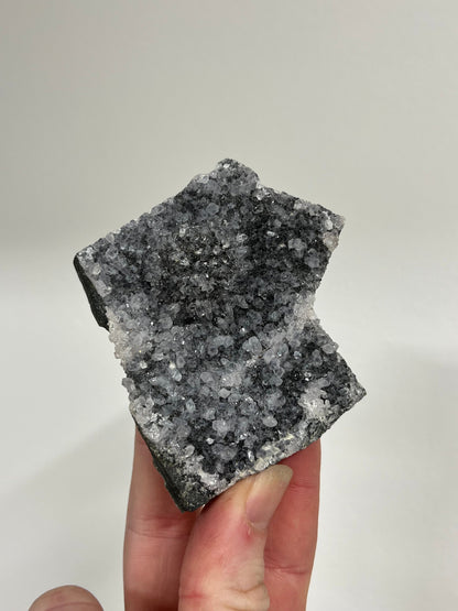 Black Amethyst Cluster