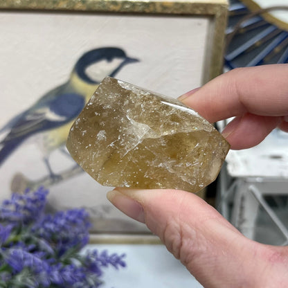 Natural Citrine Freeform | Brazilian Citrine