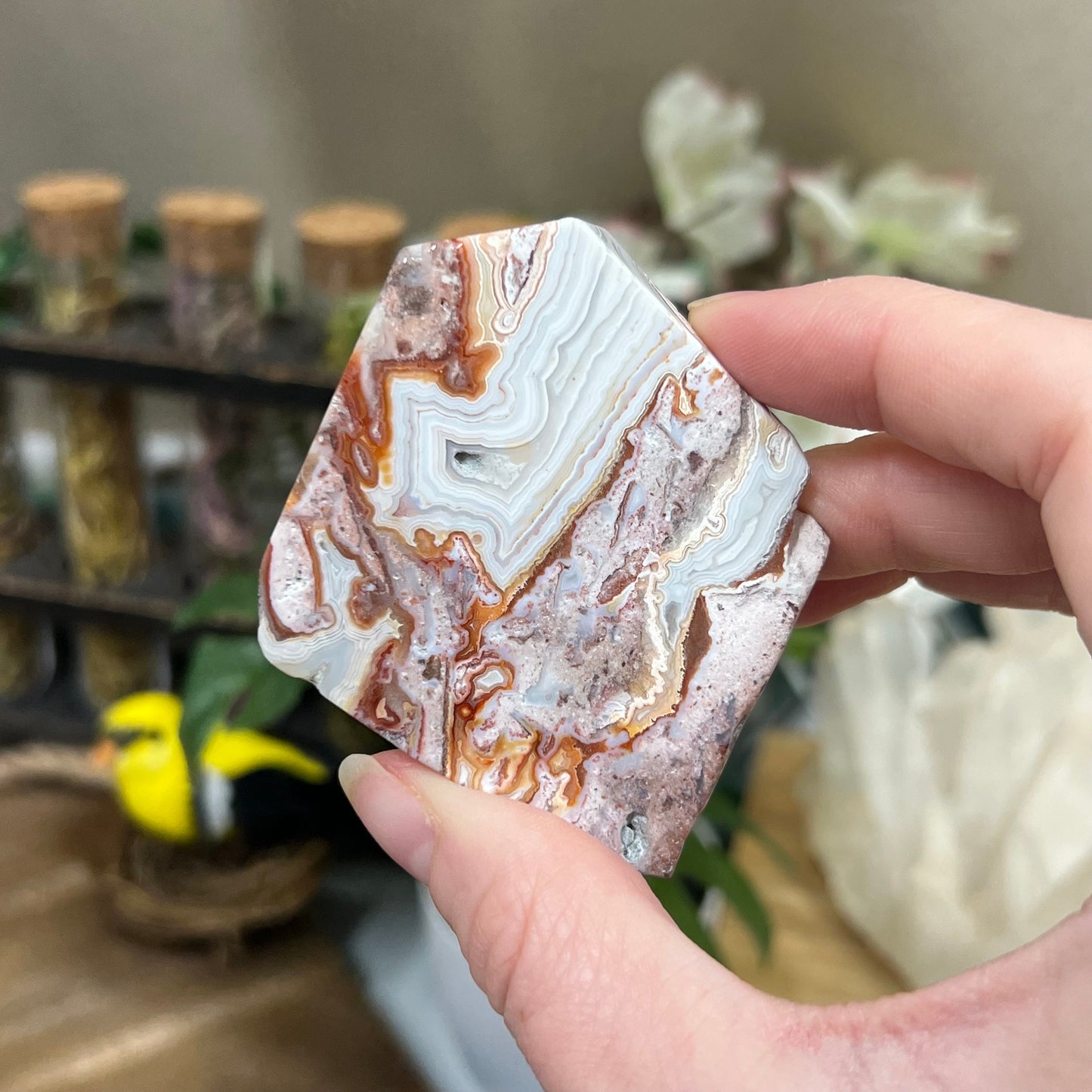 Small Mexican Lace Agate Slab