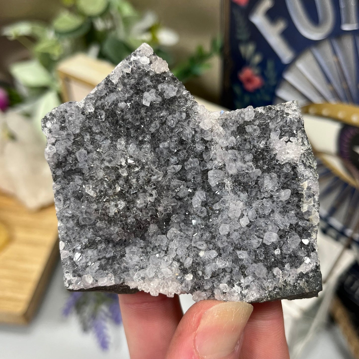 Black Amethyst Cluster