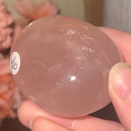 Star Rose Quartz Palm | Rose Quartz Asterism