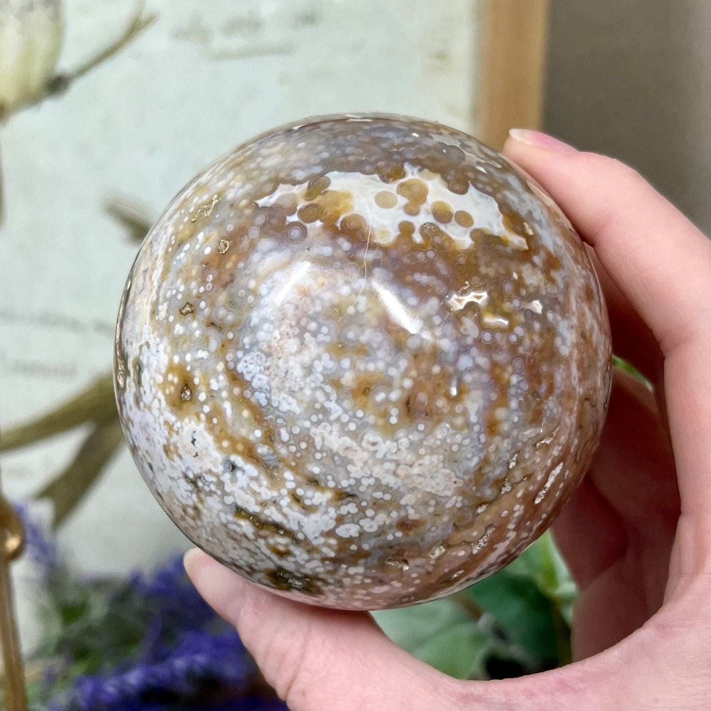 Large Veinless Ocean Jasper Sphere | Druzy Ocean Jasper