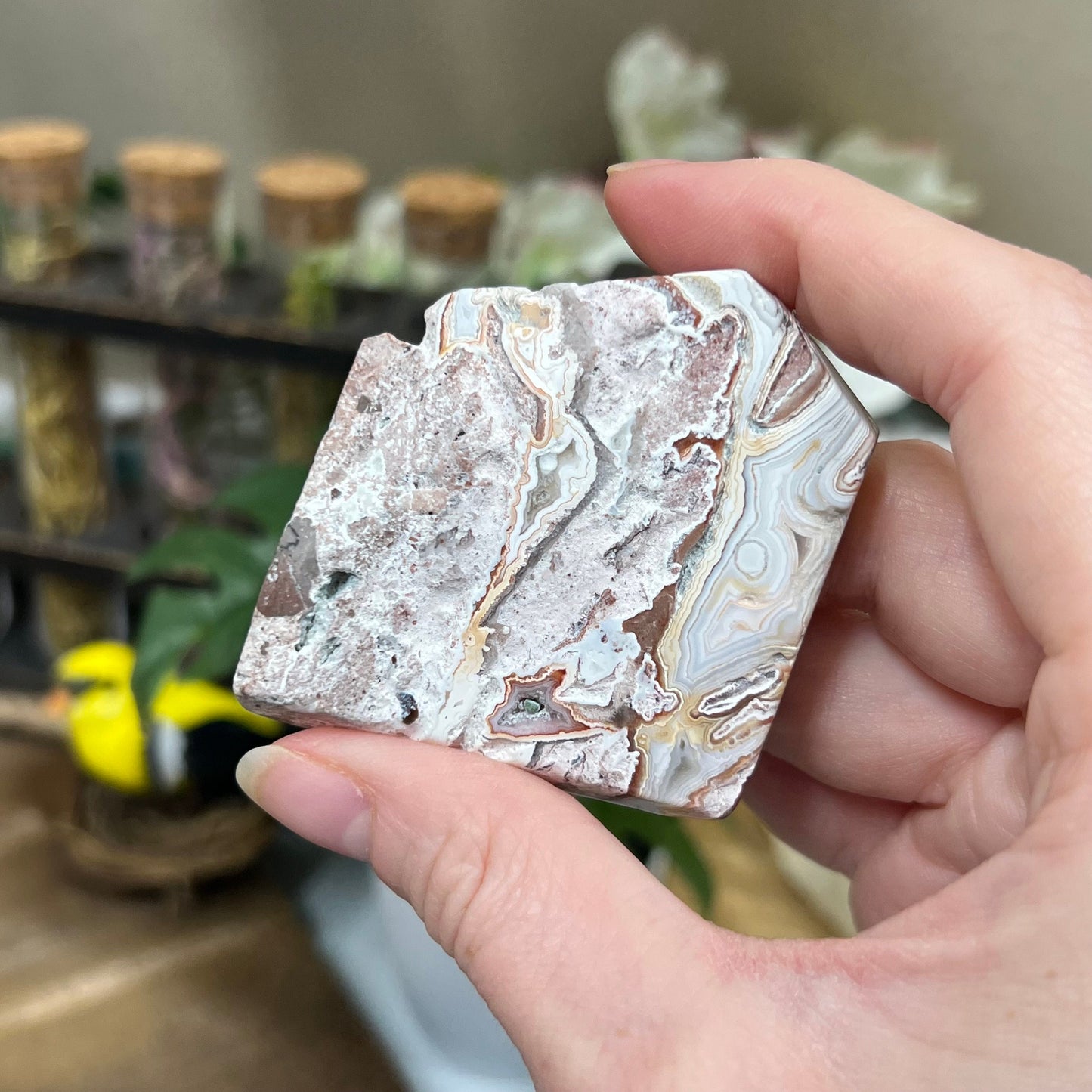 Small Mexican Lace Agate Slab