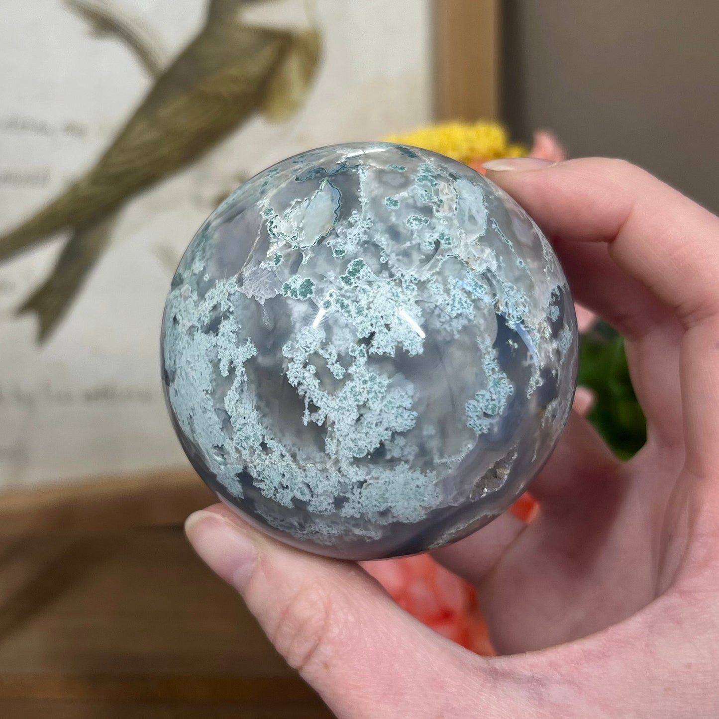 Unique Moss Agate Sphere | Druzy Moss Agate