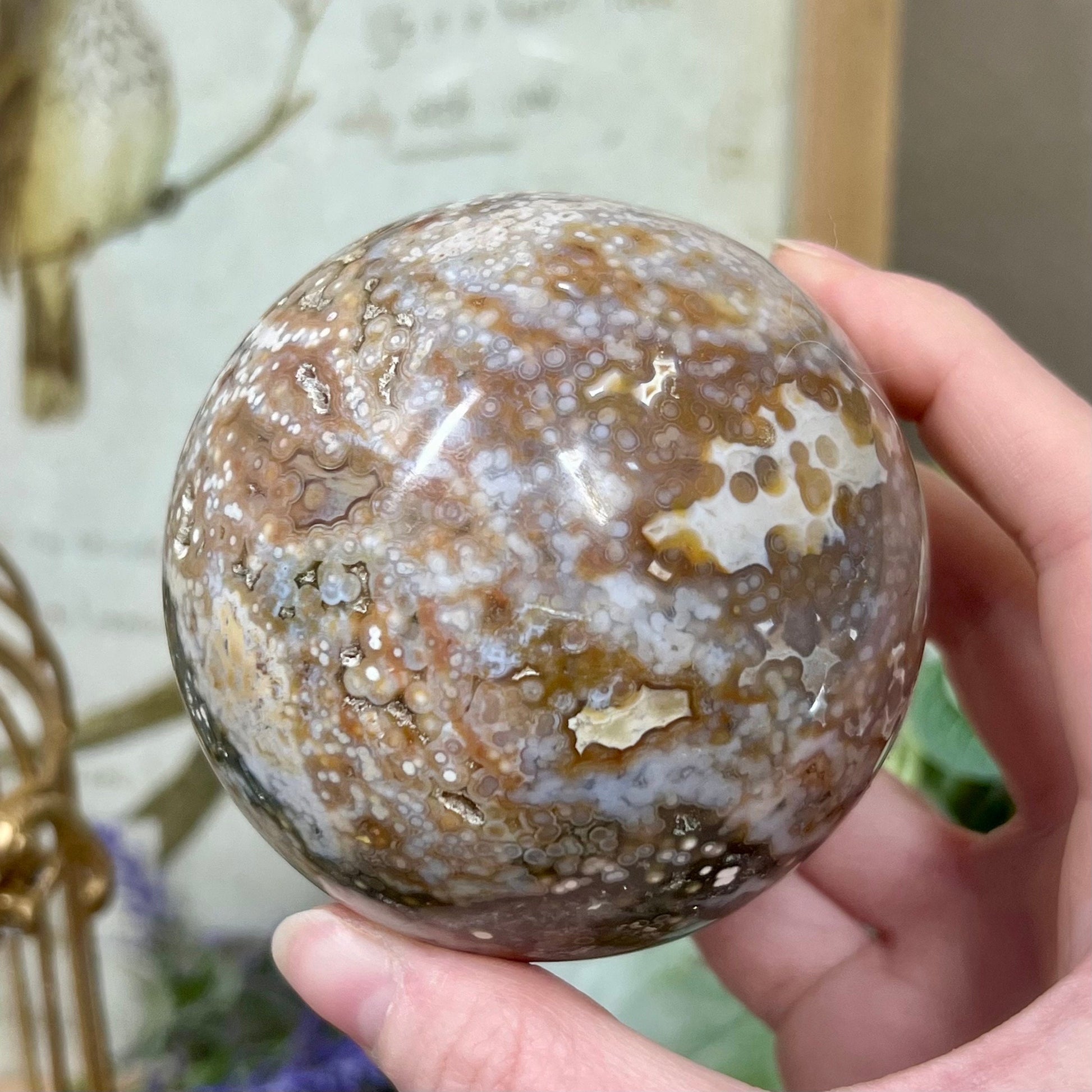 Large Veinless Ocean Jasper Sphere | Druzy Ocean Jasper