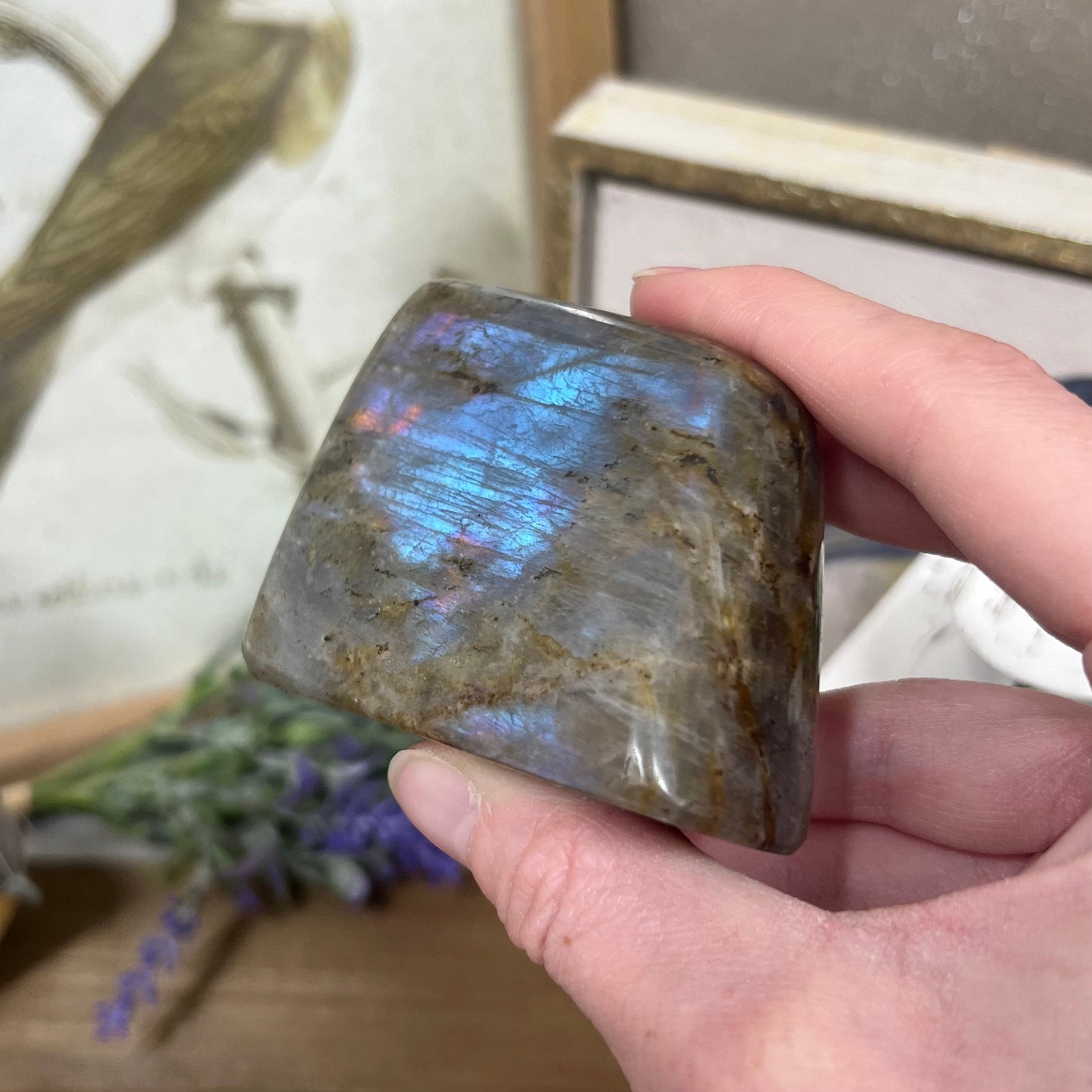 Light Blue Labradorite Freeform | Rainbow Lab Freeform